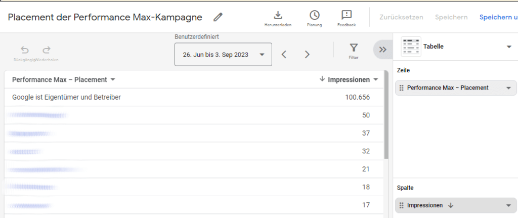 Placement Report Beispiel