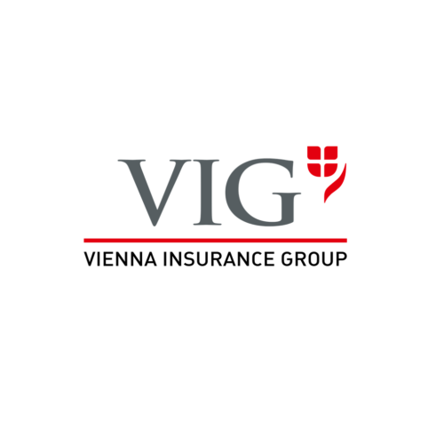 Vienna Insurance Group Logo 2